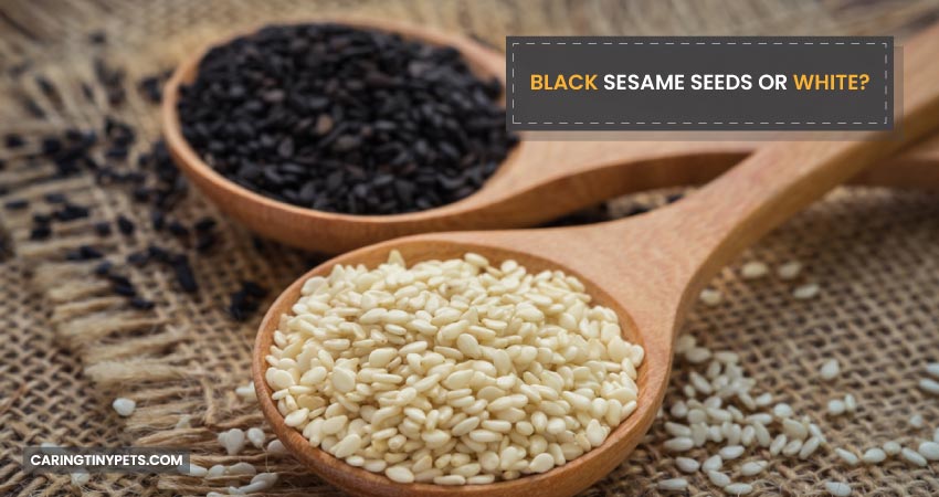 Black Sesame Seeds Or White