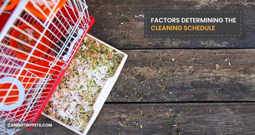 Factors Determining the Cleaning Schedule