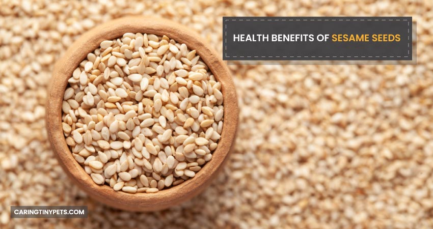Health Benefits Of Sesame Seeds