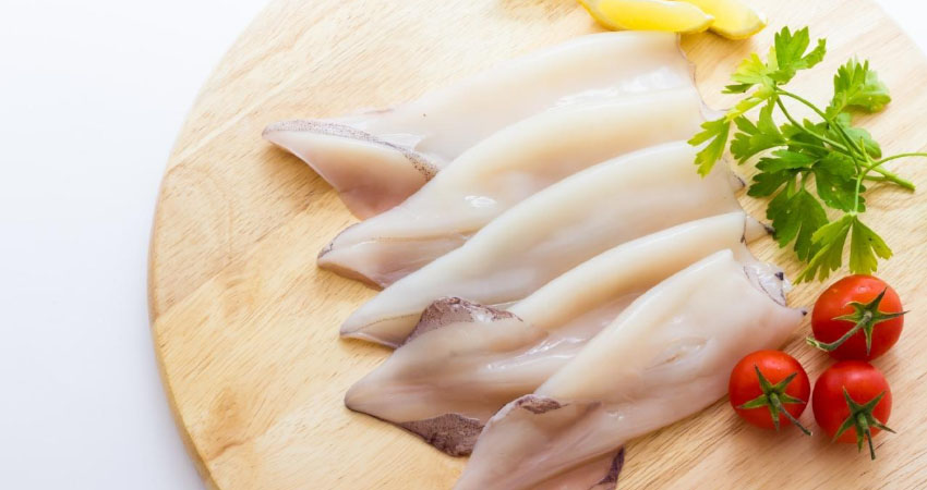 Health Benefits of Cuttlefish bone for Hamsters