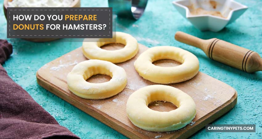 How Do You Prepare Donuts For Hamsters