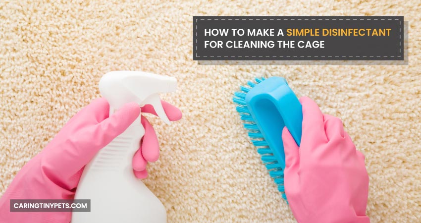 How To Make A Simple Disinfectant For Cleaning The Cage