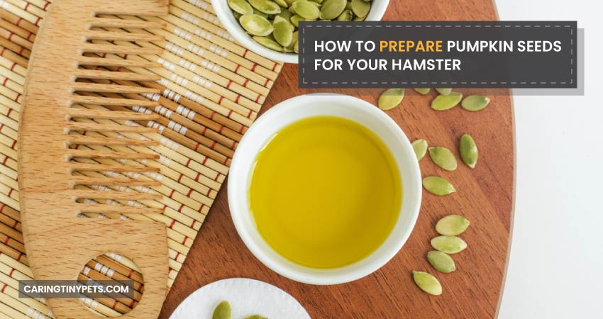 How to Prepare Pumpkin Seeds for Your Hamster
