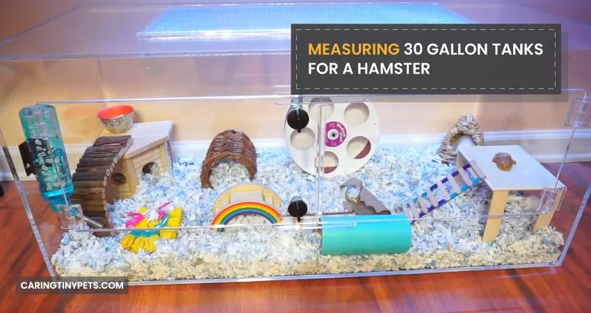 Measuring 30 Gallon Tanks For A Hamster