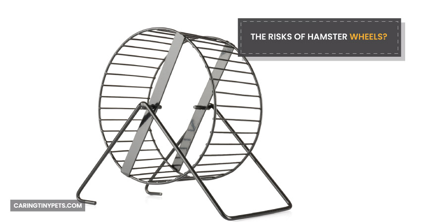 The Risks of Hamster Wheels