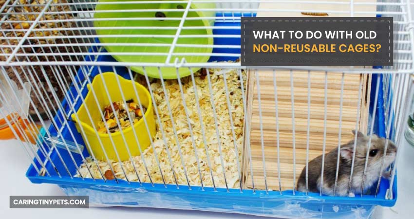What To Do With Old Non-Reusable Cages