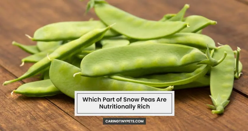 Which Part of Snow Peas Are Nutritionally Rich
