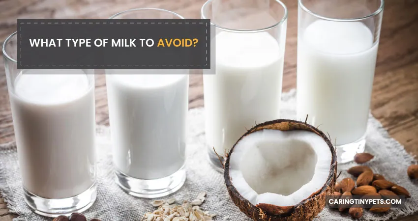 What type of milk to avoid