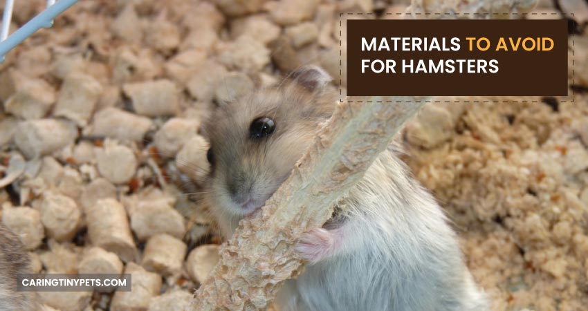 Materials To Avoid For Hamsters
