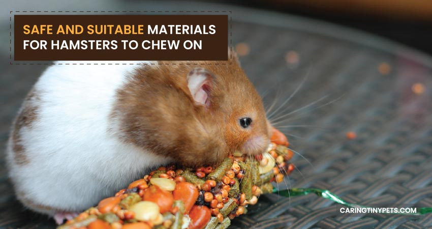 Safe And Suitable Materials For Hamsters To Chew On