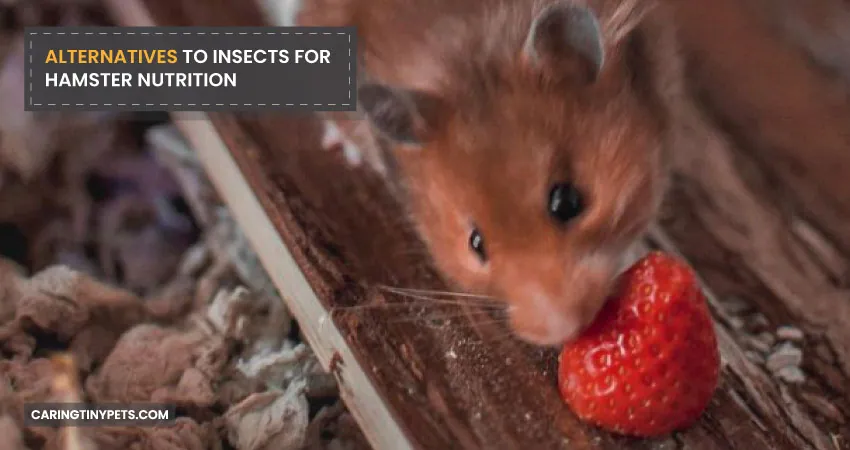 ALTERNATIVES TO INSECTS FOR HAMSTER NUTRITION