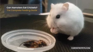 Can Hamsters Eat Crickets? The Complete Feeding Guide