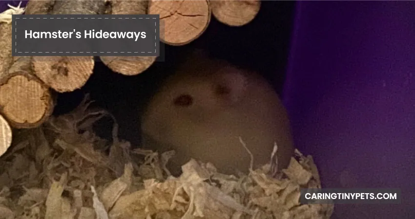Hamster's Hideaways