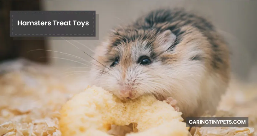 Hamsters Treat Toys
