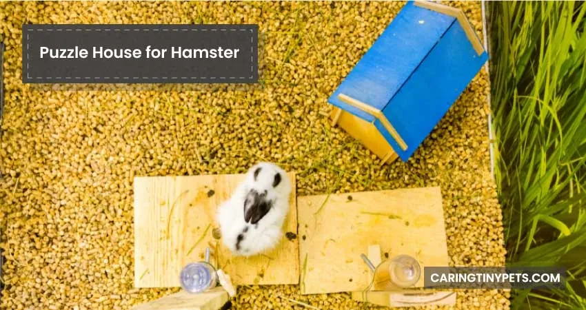 Puzzle House for Hamster