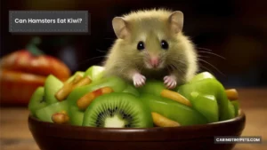 Can Hamsters Eat Kiwi? Are Kiwis Healthy For Hamsters?